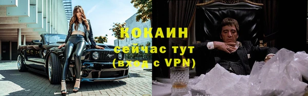 прущая мука Ельня