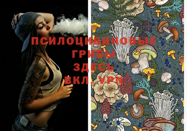 прущая мука Ельня