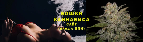 прущая мука Ельня