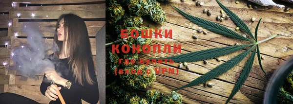 прущая мука Ельня