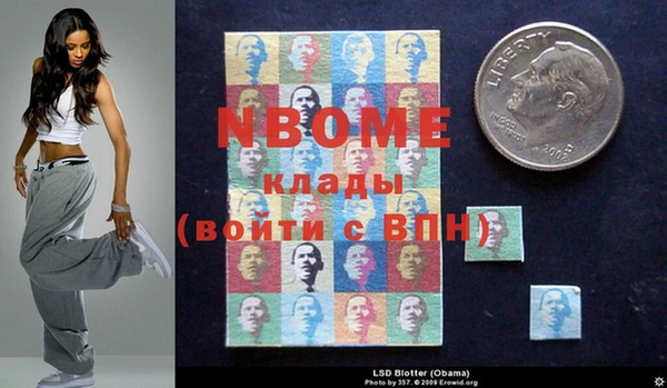 прущая мука Ельня