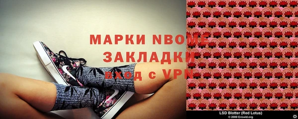 прущая мука Ельня