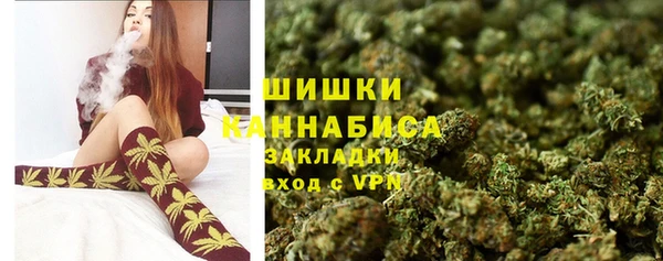 прущая мука Ельня