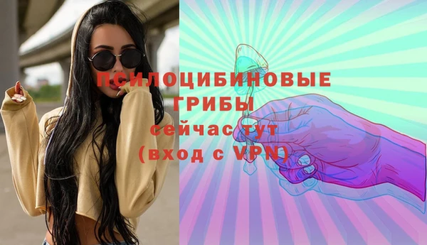 прущая мука Ельня