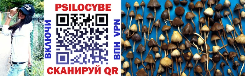 Купить  Мамоново  Псилоцибиновые грибы мухоморы 